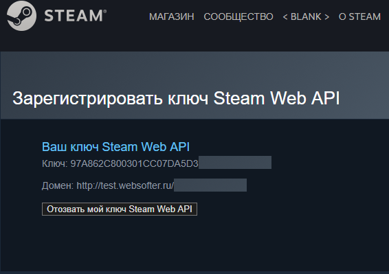 Ключ web. АПИ ключ стим. Ключ веб-API Steam что это. Домен стим. Что такое домен ключ стим.